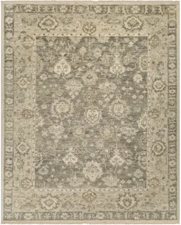 Biscayne BSY-2316 6' x 9' Handmade Rug