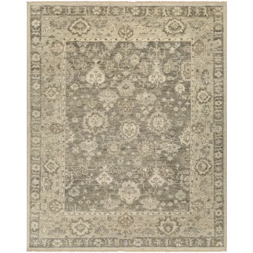 Biscayne BSY-2316 6' x 9' Handmade Rug