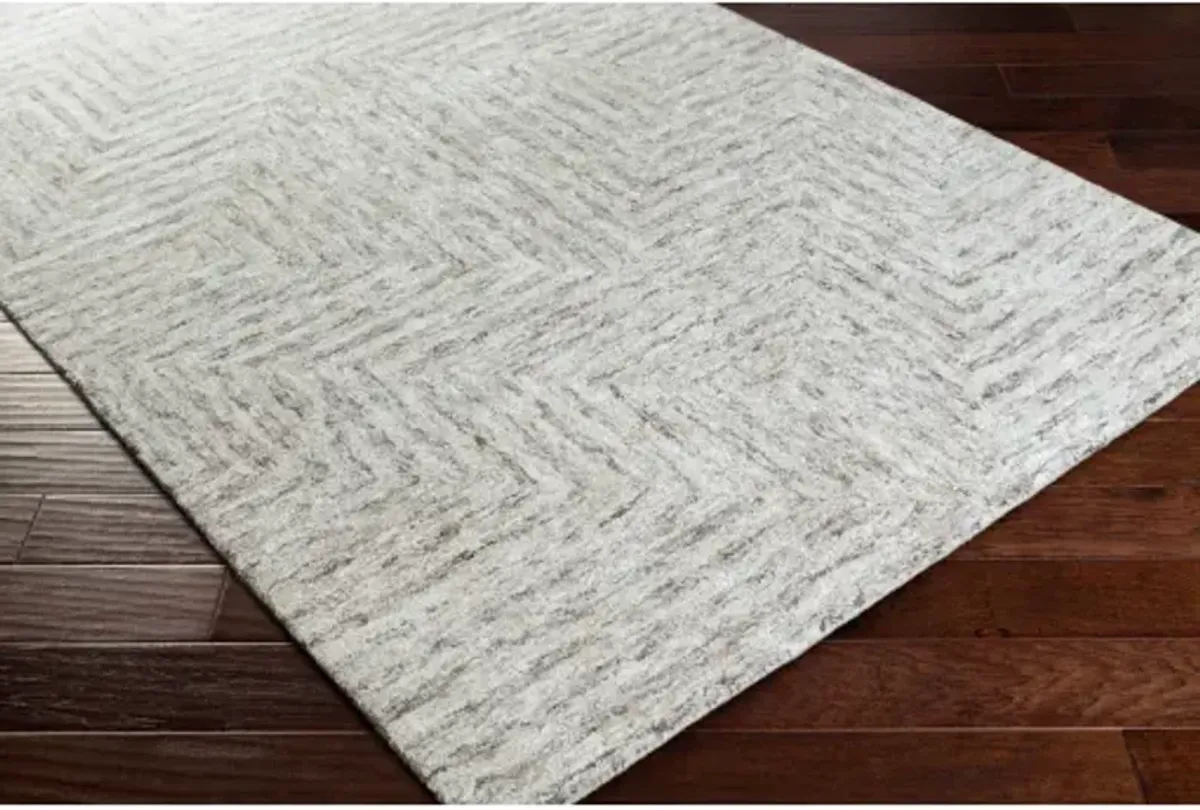 Falcon 2'6" x 8' Rug