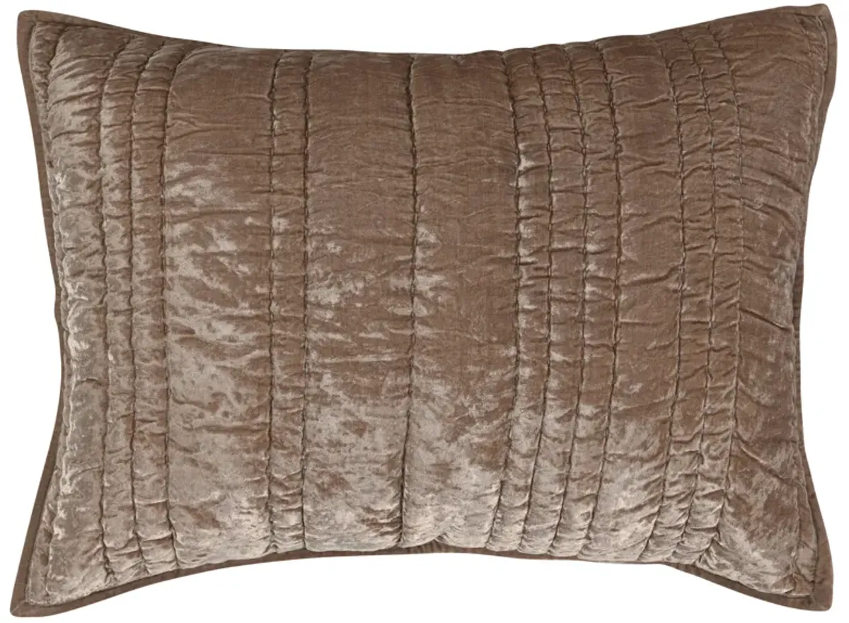 Maya Velvet Desert Taupe Sham