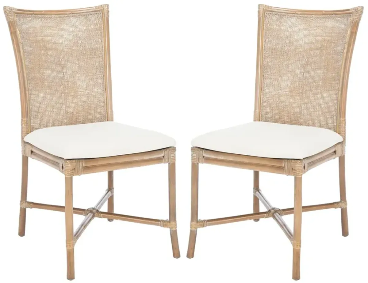 CHIARA RATTAN Dining  CHAIR W/ CUSHION - Set of 2