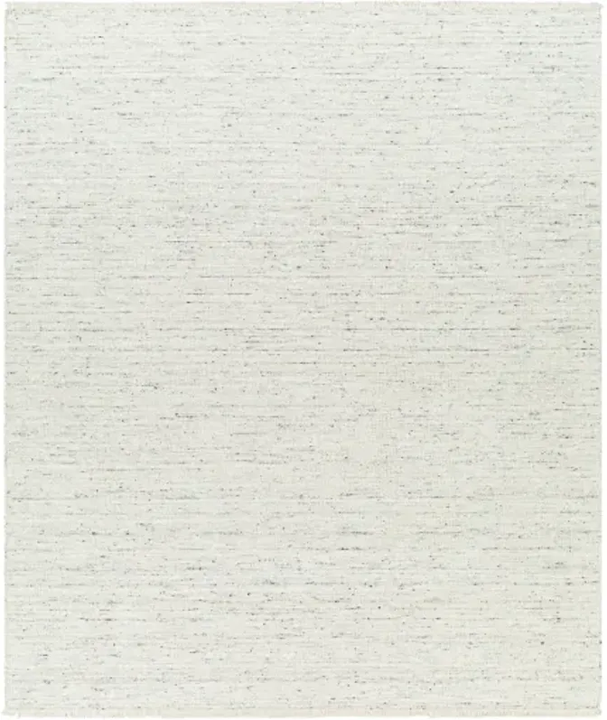 Hamburg HMB-2300 10' x 14' Hand Made Rug