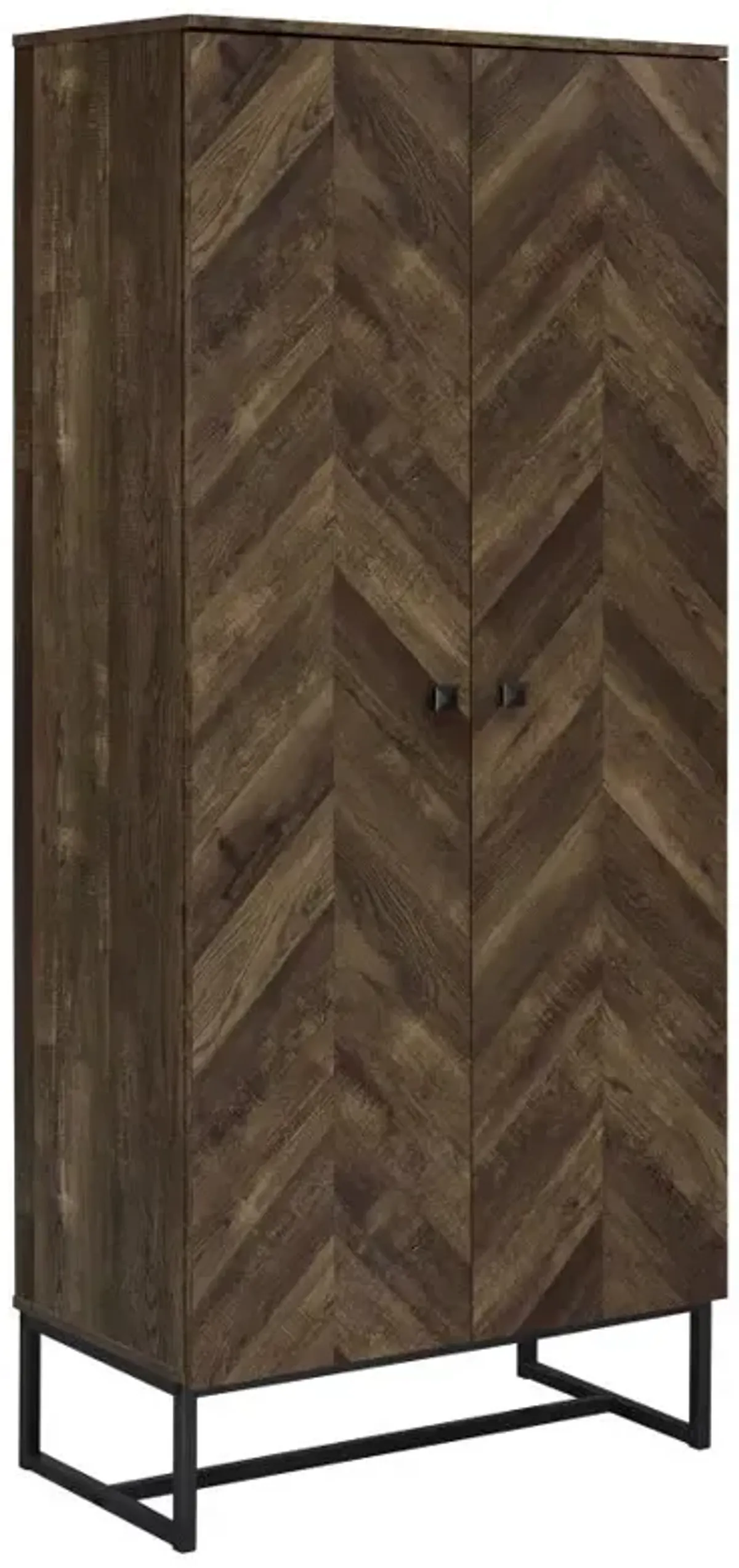 Carolyn 2-Door Accent Cabinet