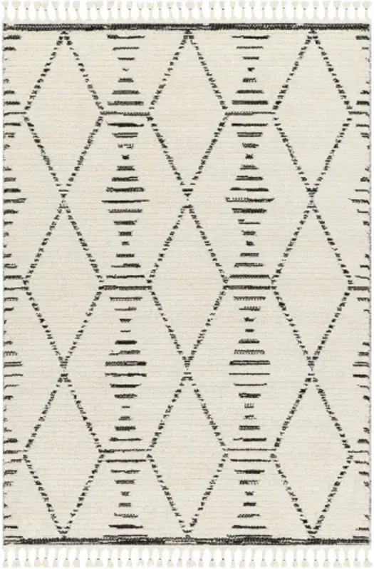 Valencia VLC-2316 6'7" x 9' Machine Woven Rug