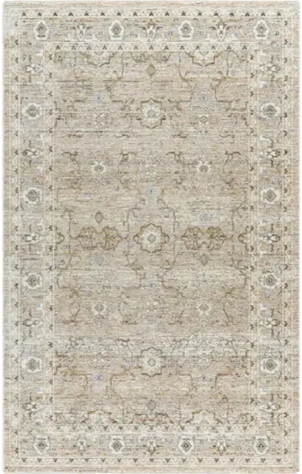 Presidential PDT-2337 3'3" x 5' Machine Woven Rug