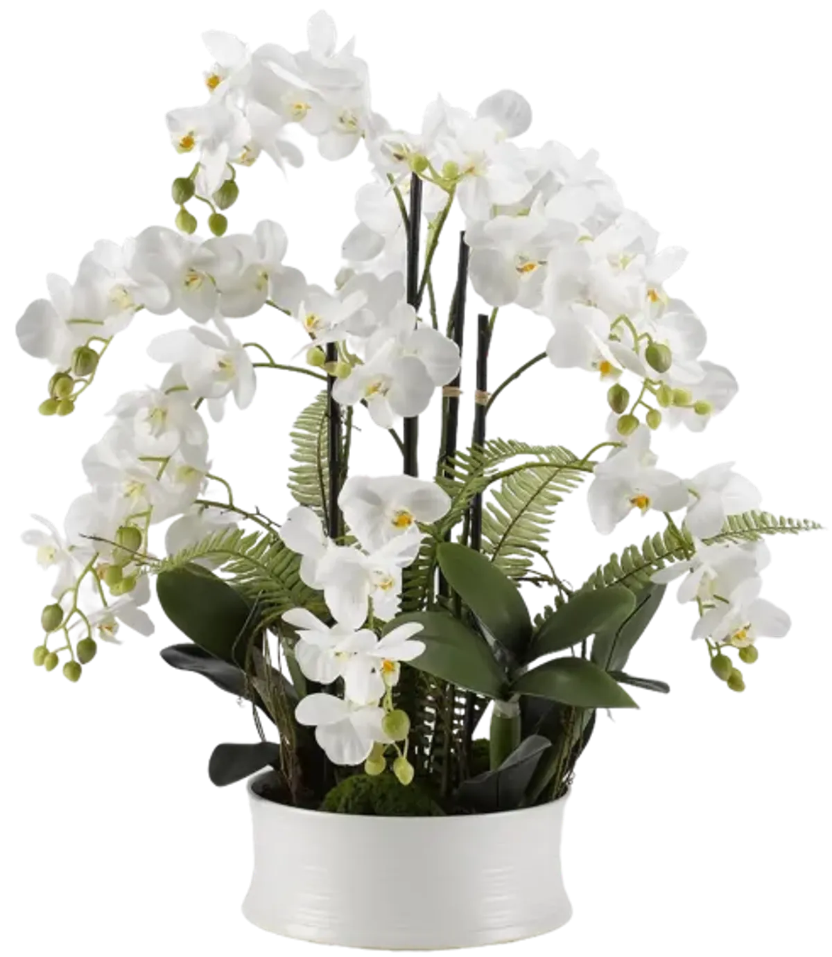 White Orchids in Round Dish