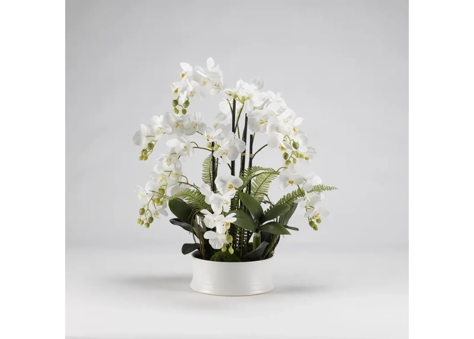 White Orchids in Round Dish