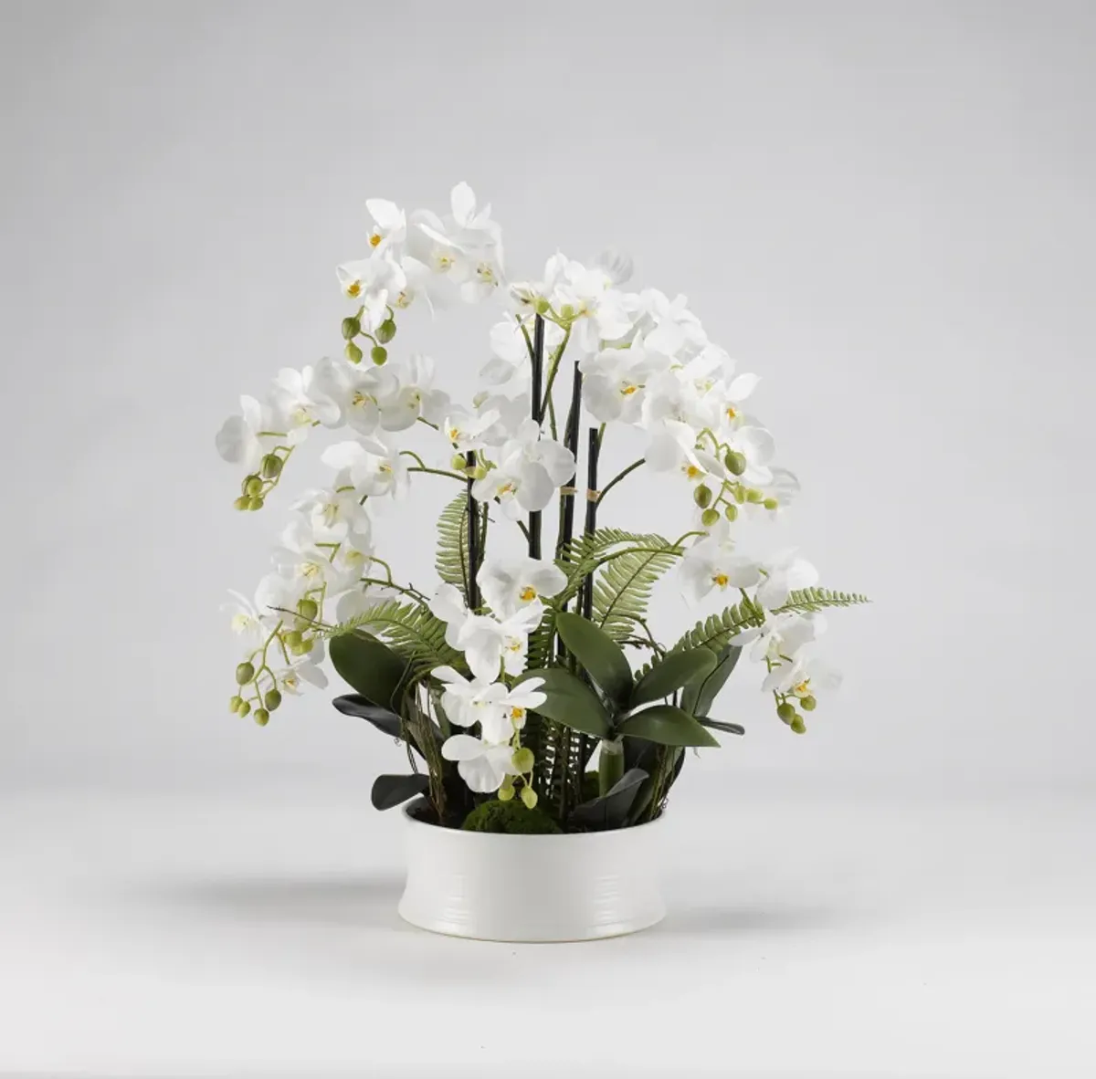 White Orchids in Round Dish