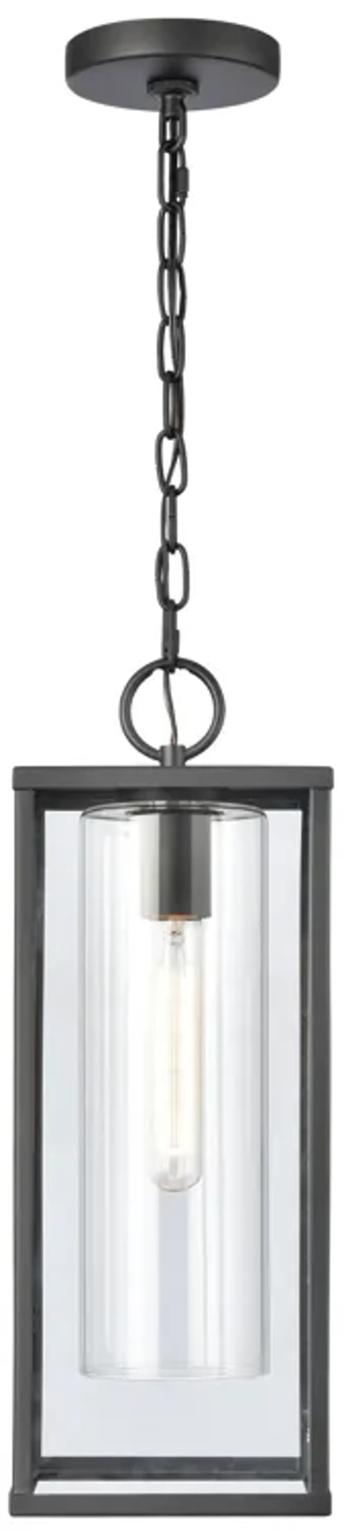 Augusta 19'' High 1-Light Outdoor Hanging Light - Matte Black