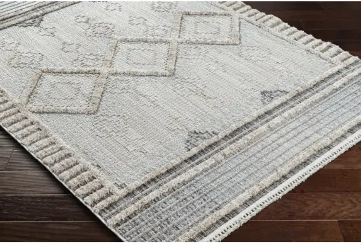 Zaragoza ZRZ-2301 2'7" x 7'3" Rug