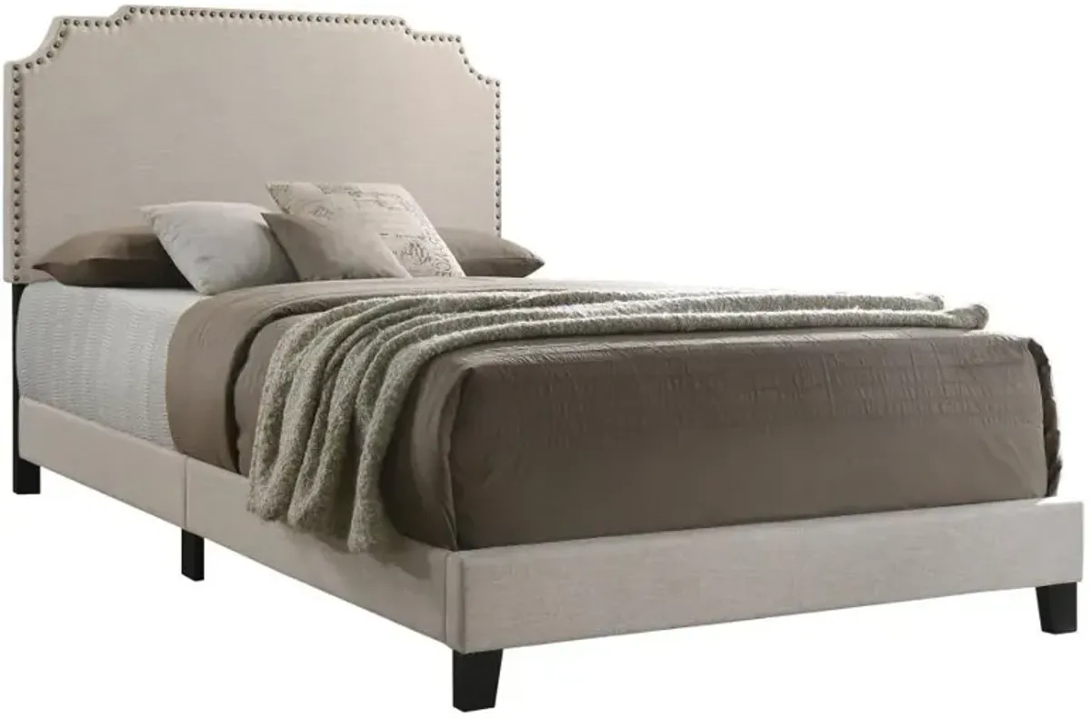 Tamarac Upholstered Nailhead Queen Bed Beige