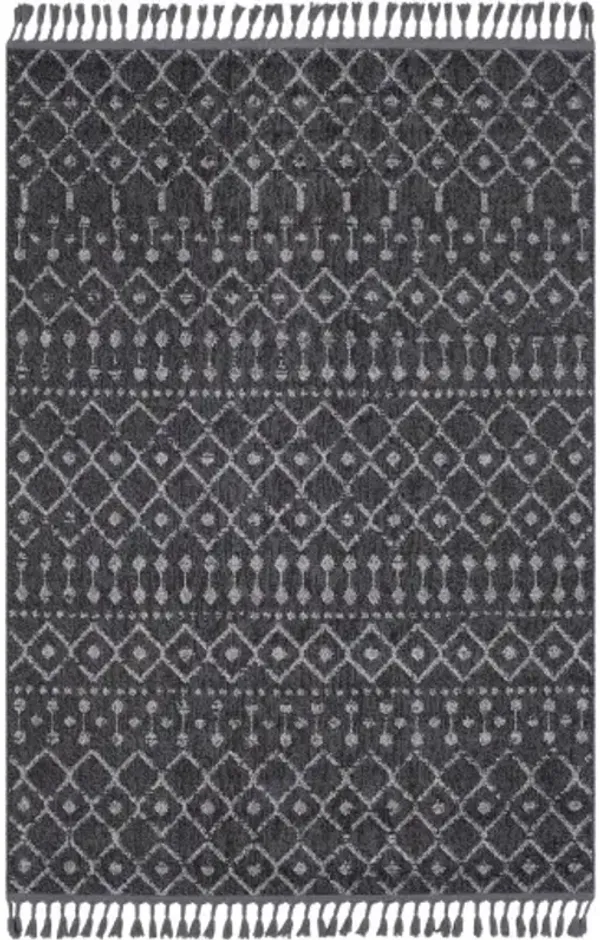 Restoration 5' x 7'3" Rug