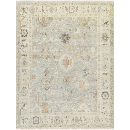 Antalya AAT-2311 8' x 10' Handmade Rug