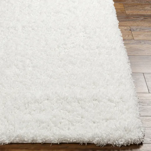 Bogota Shag BTG-2300 6'7" x 9' Machine Woven Rug