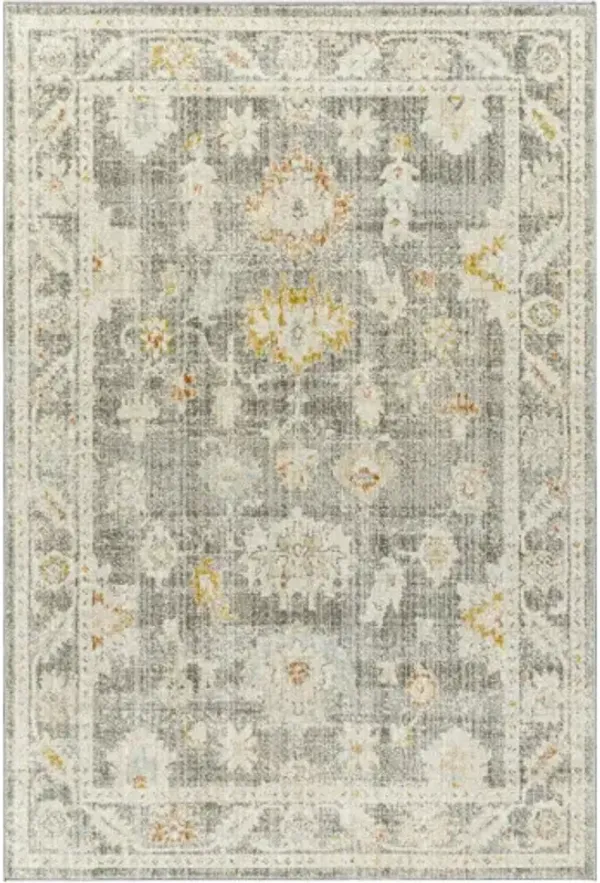 Bitlis BSI-2303 7'10" x 10' Machine Woven Rug