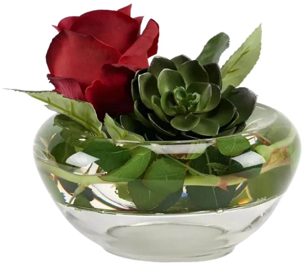 Red Natural Touch Rose And Small Echeveria in Glass Bowl