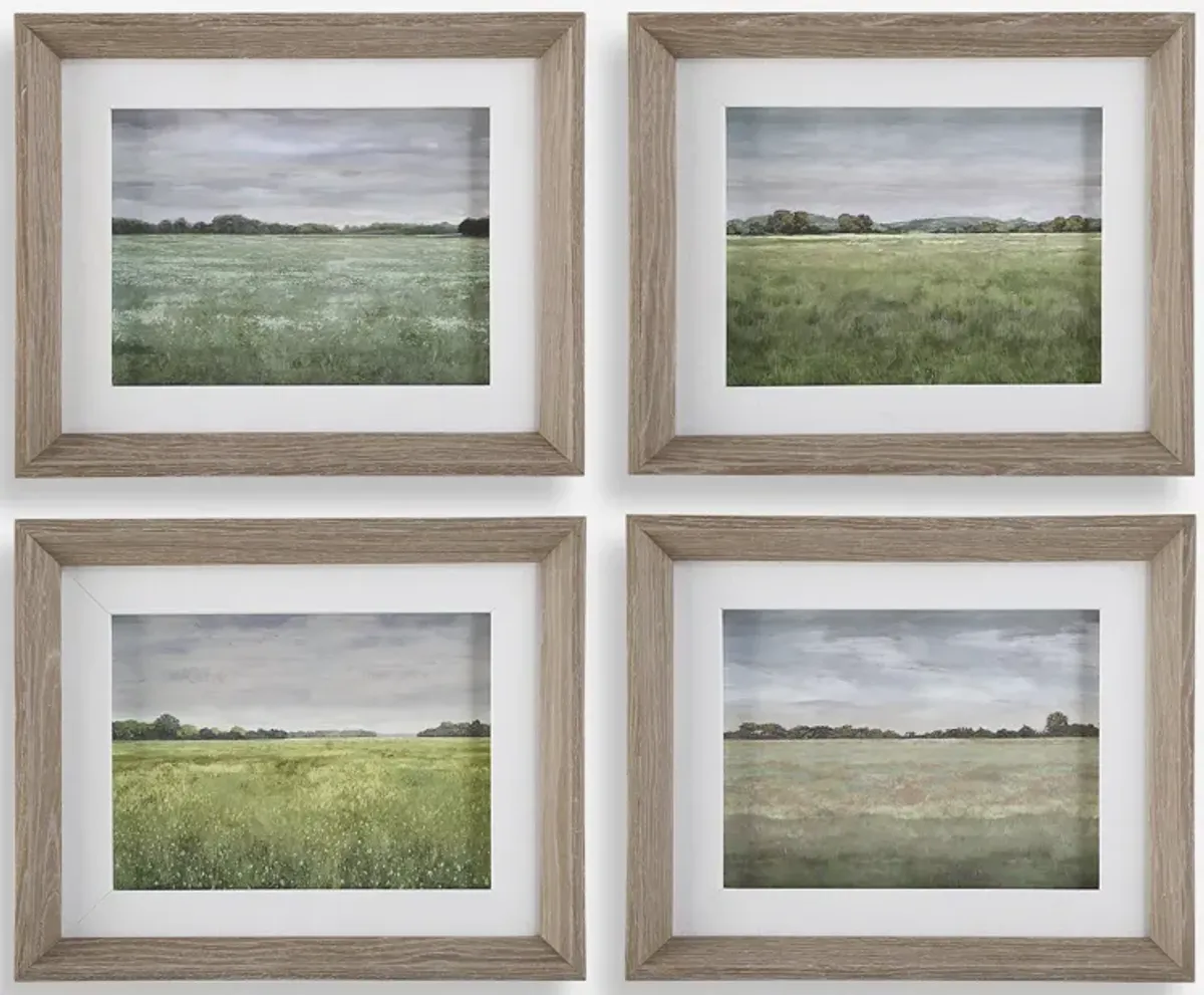 Quiet Meadows Framed Prints, S/4