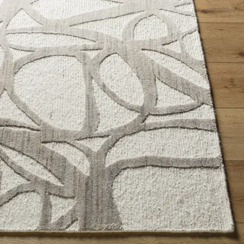 Ombre OMB-2303 6' x 9' Handmade Rug