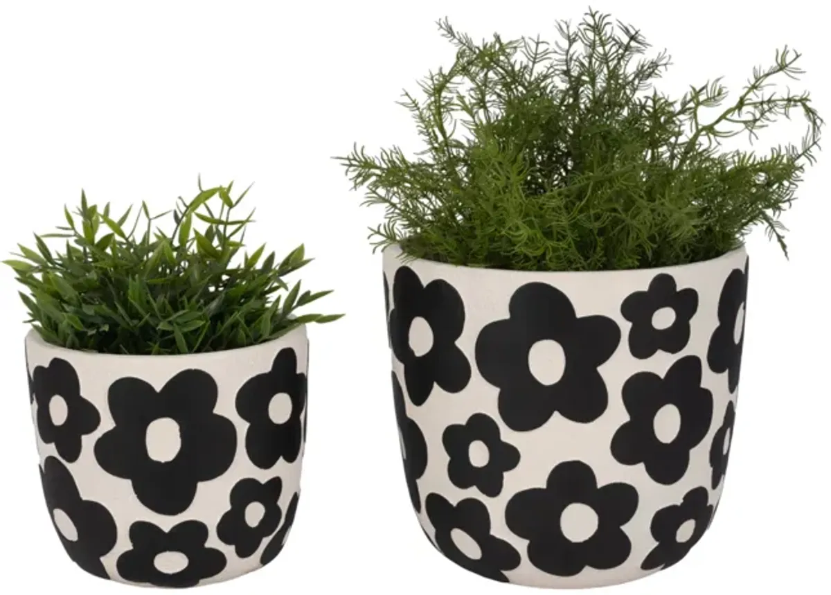 S/2 7/9" Flower Power Planters, Black