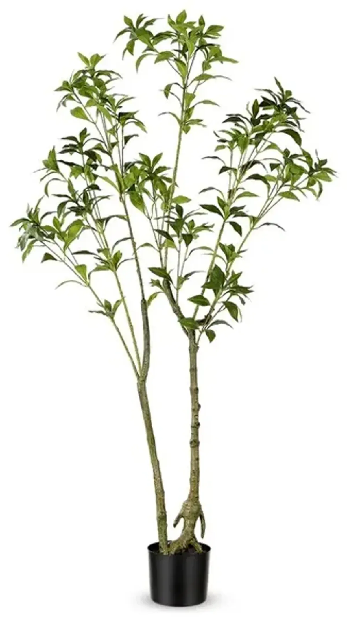 Faux Pieris Japonica Potted Plant