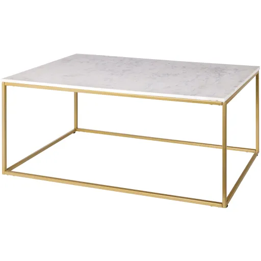 Aryaa YAA-016 18"H x 22"W x 42"D Coffee Table