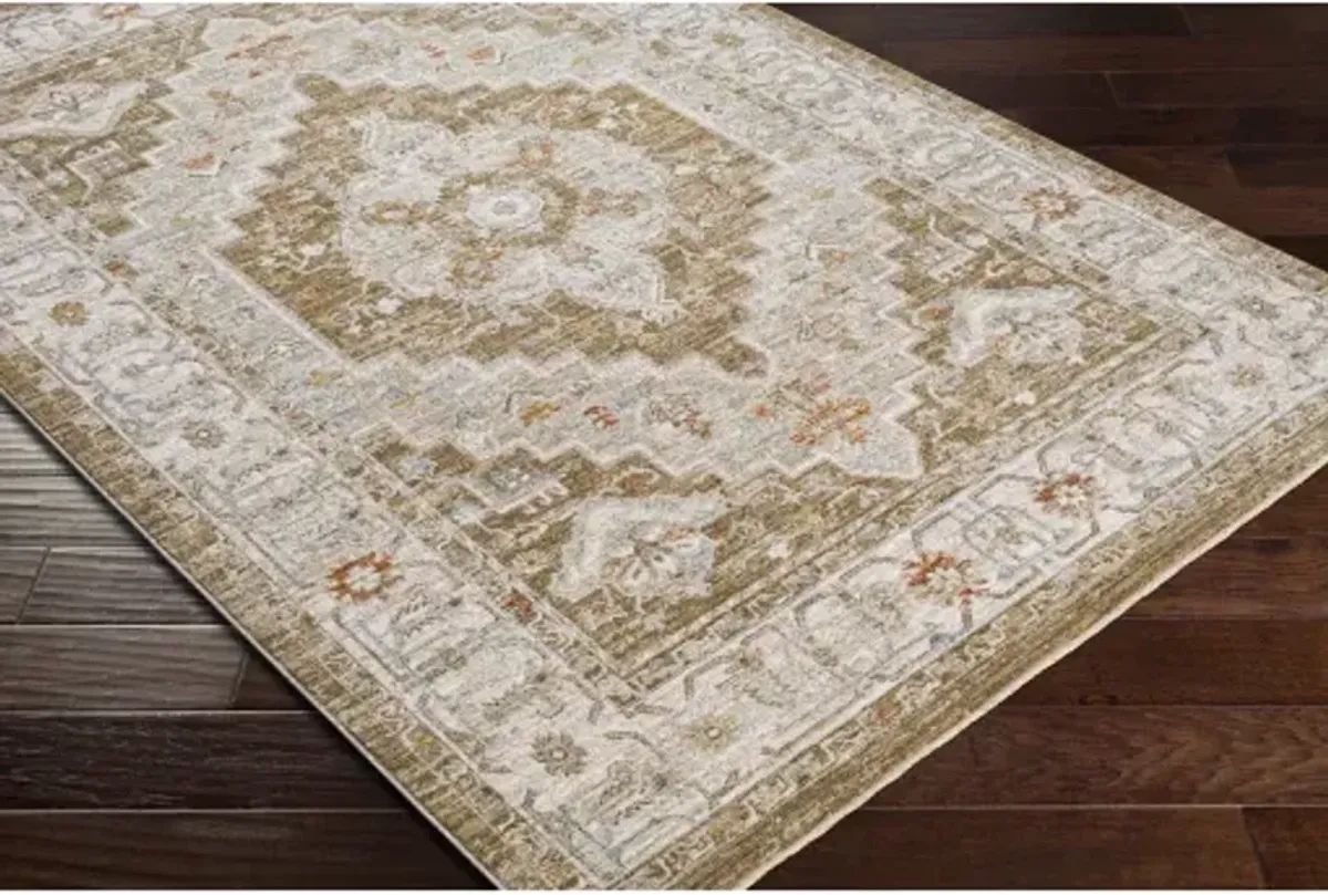 Avant Garde AVT-2315 2'7" x 10' Rug