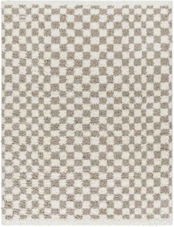 Birmingham BMM-2322 5'3" x 7' Machine Woven Rug