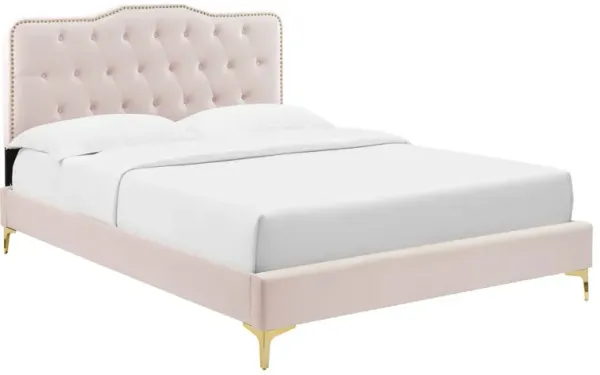 Amber Tufted Performance Velvet Twin Platform Bed