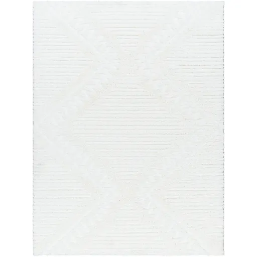 Nomadic NMC-2304 7'10" x 10' Machine Woven Rug