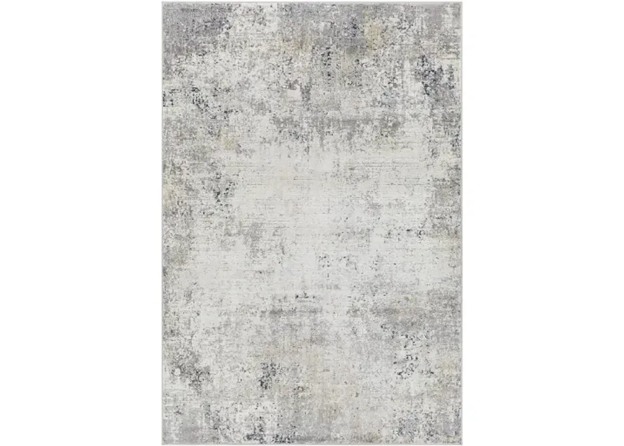 Norland 10' x 14' Rug