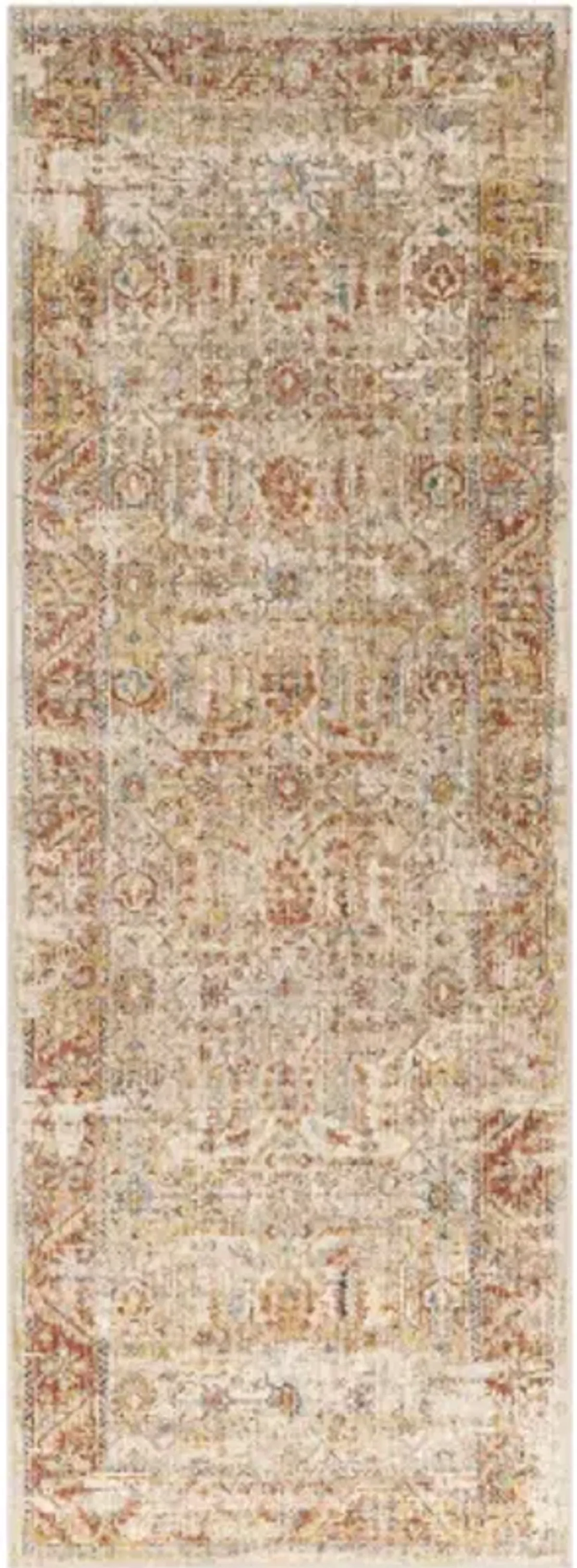 Aspendos 2'7" x 4' Rug