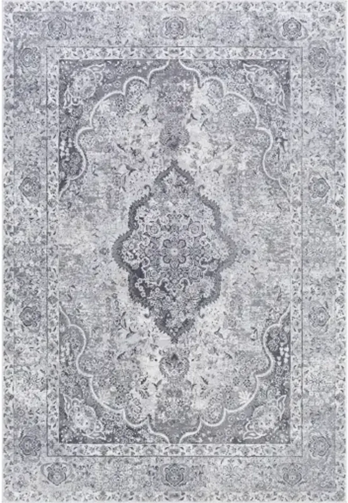 Aisha 2'7" x 5' Rug