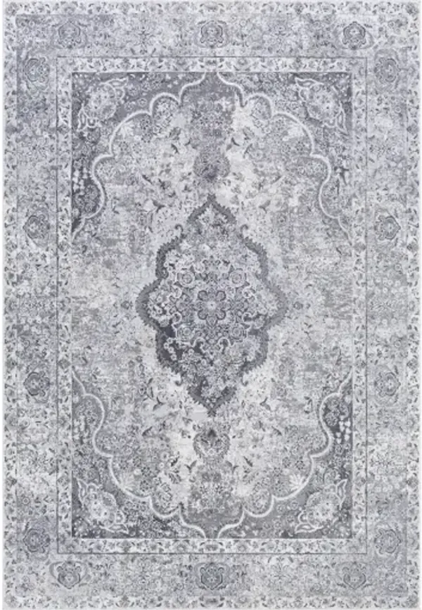 Aisha 2'7" x 5' Rug