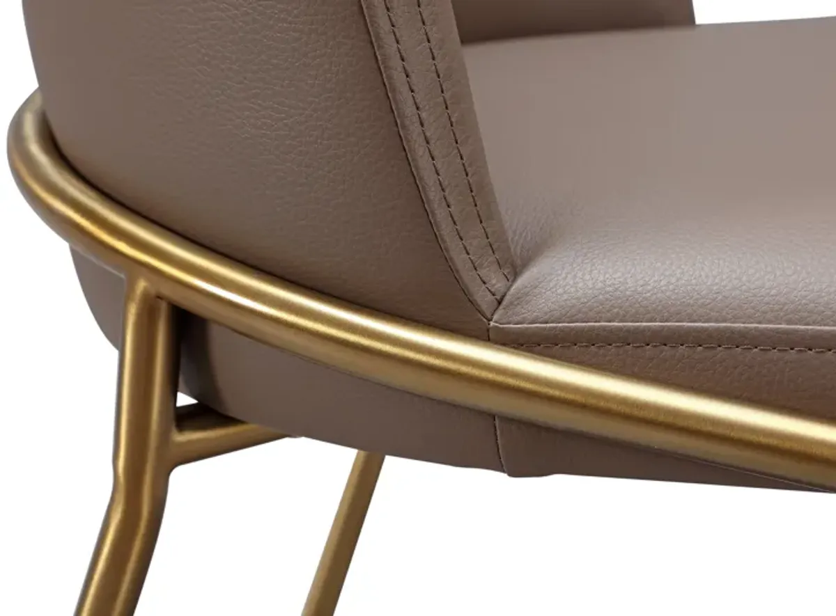 Doheny Leather Upholstered Metal Leg Dining Chair in Boots and Brass - Set