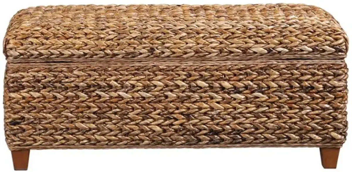 Laughton Hand-Woven Banana Leaf Storage Trunk Amber