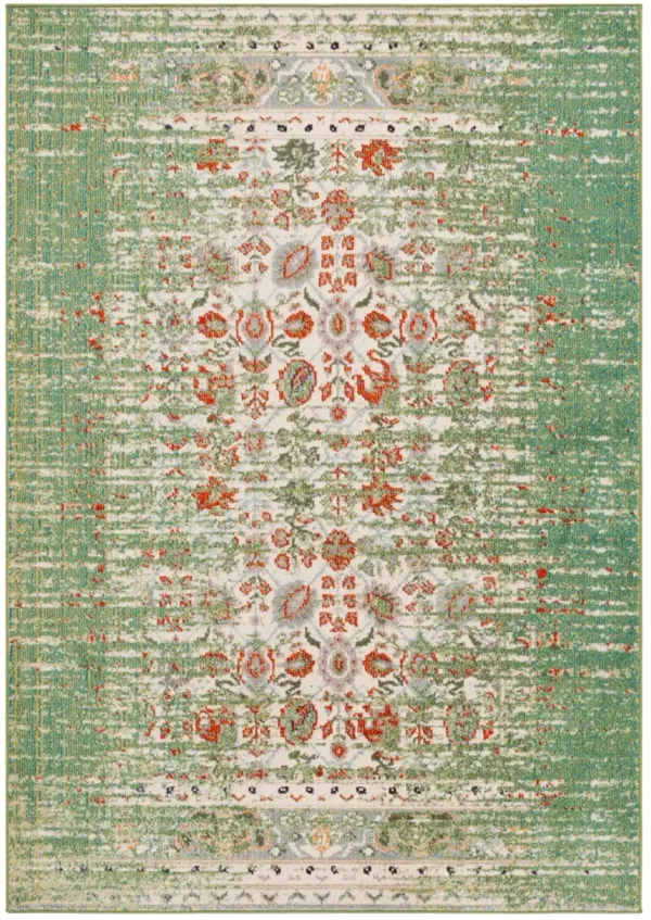 MONACO 208 SAGE  6'-7' x 9'-2' Medium Rectangle Rug