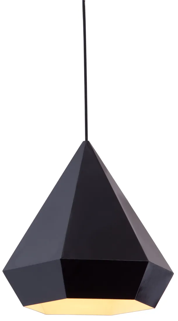 Forecast Ceiling Lamp Black