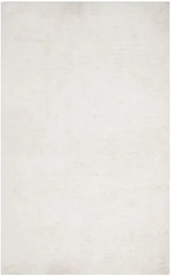 SUPREME SHAG 621 Beige 4' X 6' Small Rectangle Rug