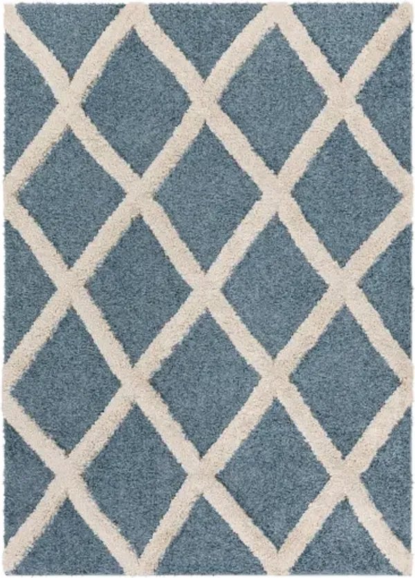Hudson shag 9'2" x 12' Rug