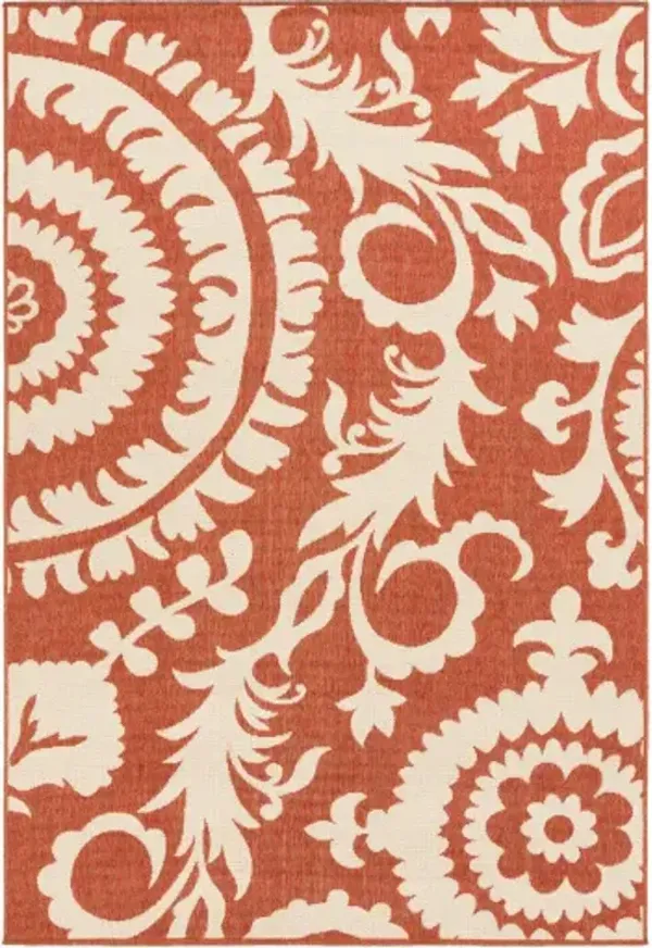 Alfresco 3'7" x 5'7" Rug