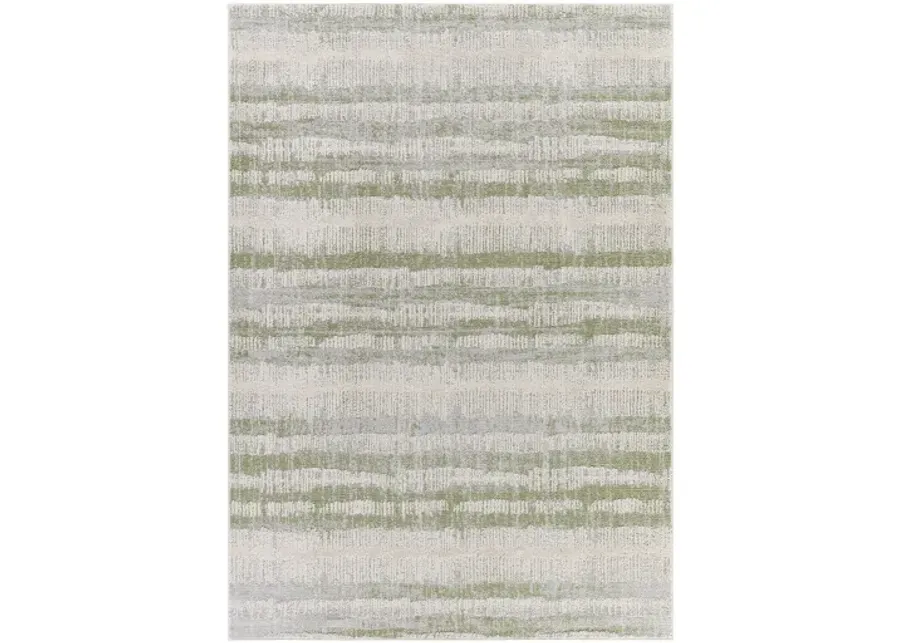 Siyah SIY-2313 5'3" x 7' Machine Woven Rug