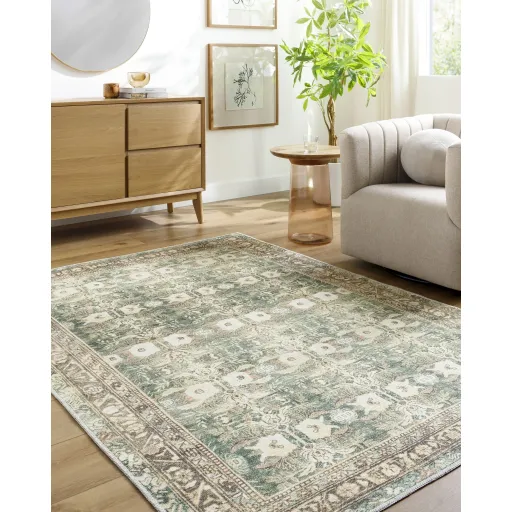 Amelie AML-2396 2'7" x 7'10" Machine Woven Rug