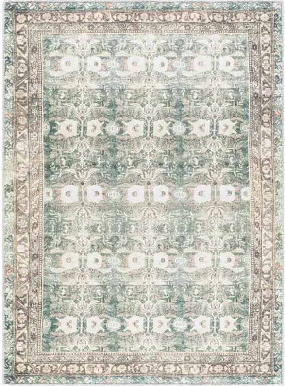 Amelie AML-2396 2'7" x 7'10" Machine Woven Rug