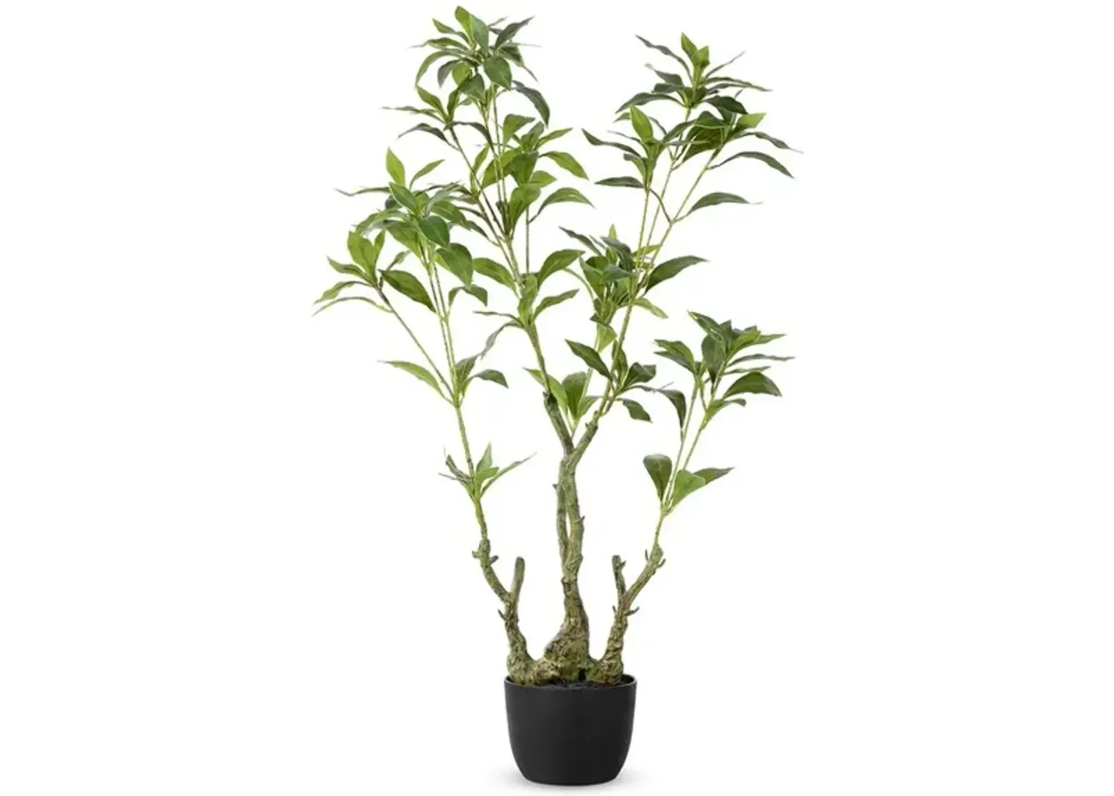 Faux Pieris Japonica Potted Plant