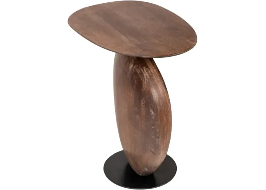 Ravi RAVI-002 24"H x 20"W x 13"D End Table