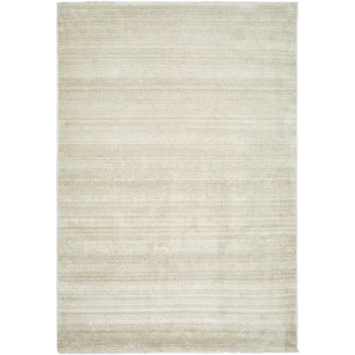 Rojin ROJ-2305 5'3" x 7'7" Machine Woven Rug