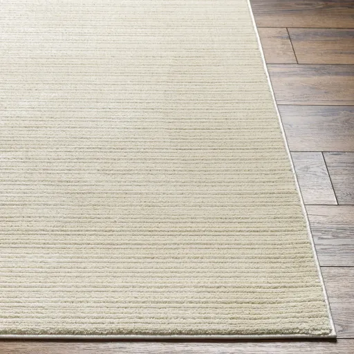 Alder ALD-2306 1'11" x 3'9" Machine Woven Rug