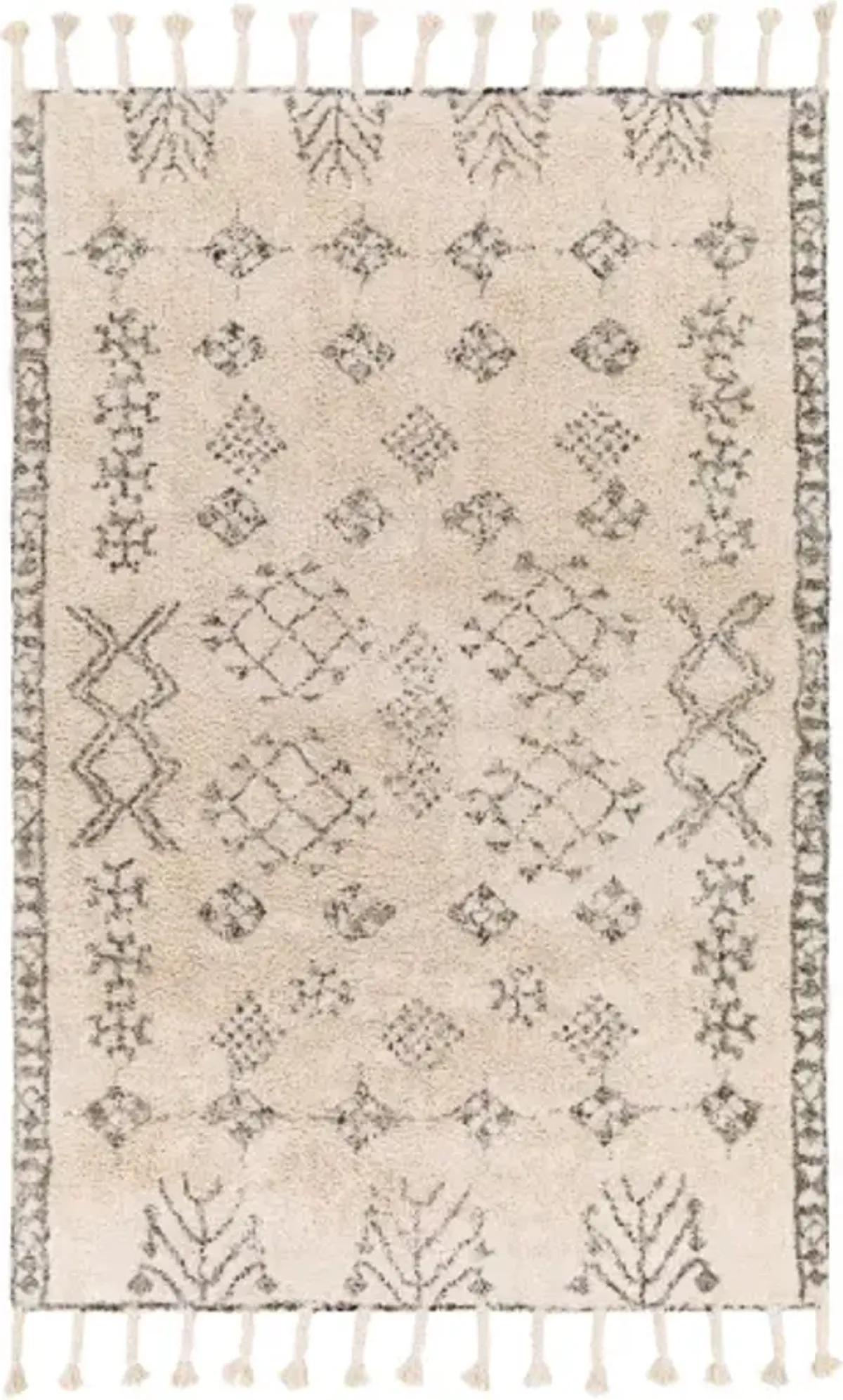 Khemisset 2'6" x 4' Rug