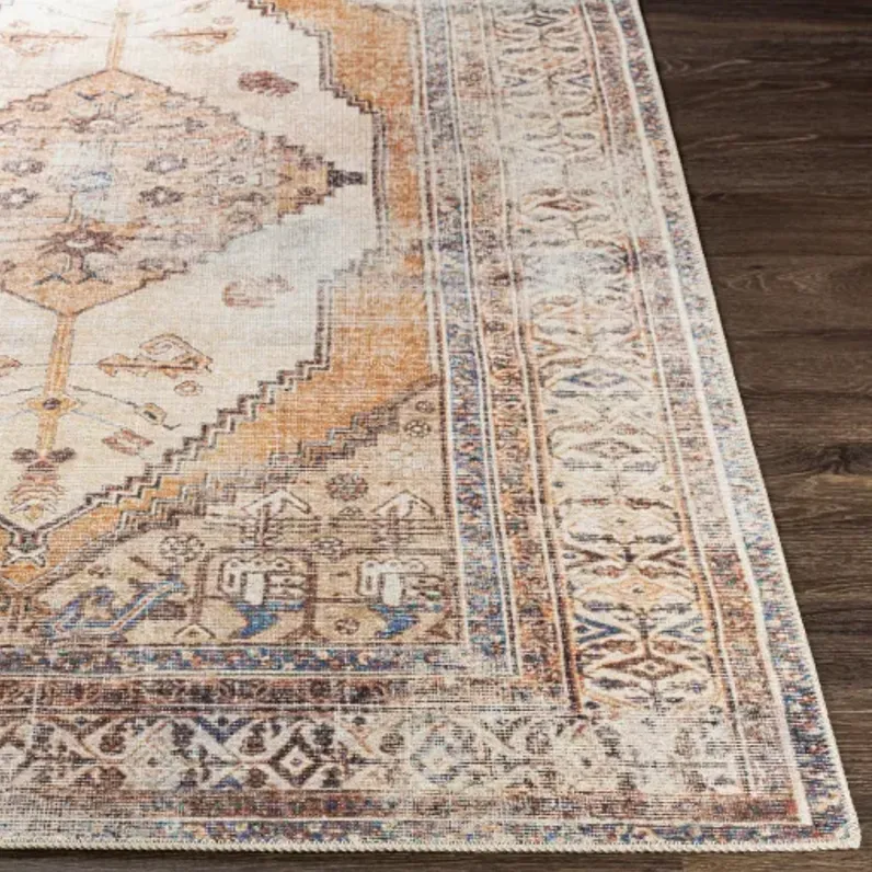 Amelie AML-2312 2'7" x 7'10" Rug