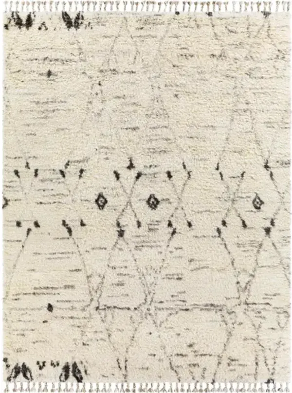 Camille CME-2304 10' x 14' Hand Made Rug